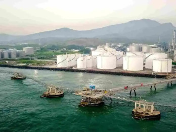 Jejak Emiten Thailand di Chandra Daya (CDIA), Perusahaan Prajogo Pangestu yang Mau IPO