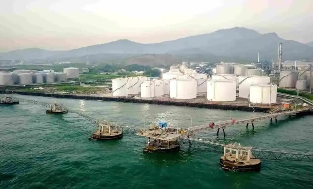 Jejak Emiten Thailand di Chandra Daya (CDIA), Perusahaan Prajogo Pangestu yang Mau IPO