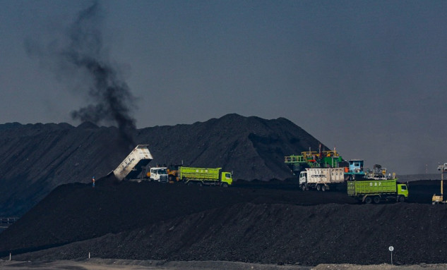 Giant Investors Reap Double Gains from PTBA Shares