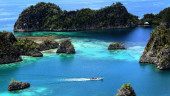 ESDM Beri Sinyal PT Gag Nikel Bakal Beroperasi Kembali di Raja Ampat