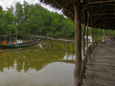 Mantan Pembalak Mangrove di Langkat Berhasil Ubah Hamparan Abu-abu Menjadi Green Economy