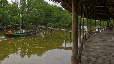 Mantan Pembalak Mangrove di Langkat Berhasil Ubah Hamparan Abu-abu Menjadi Green Economy
