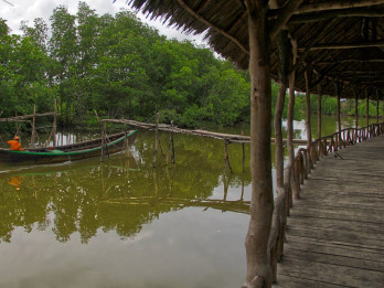 Mantan Pembalak Mangrove di Langkat Berhasil Ubah Hamparan Abu-abu Menjadi Green Economy