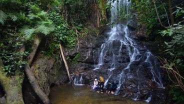 Wisata Alam Air Terjun Sarasah Murai