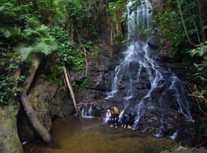 Wisata Alam Air Terjun Sarasah Murai