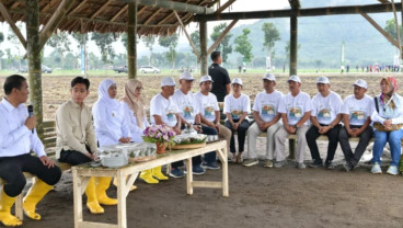 Wapres Gibran Panen dan Tanam Tebu di Banyuwangi, Ditemani Mentan Amran dan Khofifah