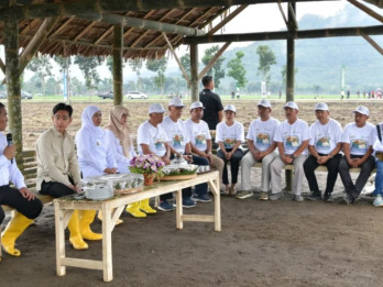Wapres Gibran Panen dan Tanam Tebu di Banyuwangi, Ditemani Mentan Amran dan Khofifah