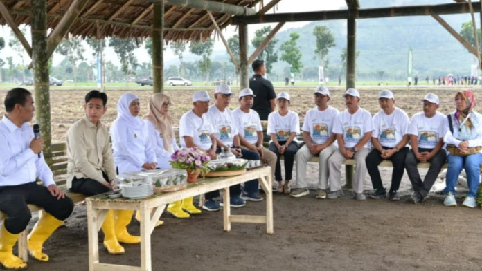 Wapres Gibran Panen dan Tanam Tebu di Banyuwangi, Ditemani Mentan Amran dan Khofifah