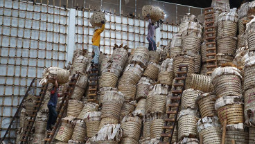 APTI Beberkan Efek Domino Gudang Garam Cs Setop Beli Tembakau