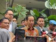 Kenali Jenis Penyakit yang Dialami Jokowi, Stevens-Johnson Syndrome