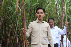 Wapres Temui Petani Tebu di Banyuwangi