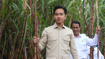Wapres Temui Petani Tebu di Banyuwangi