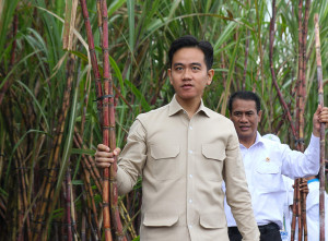 Wapres Temui Petani Tebu di Banyuwangi