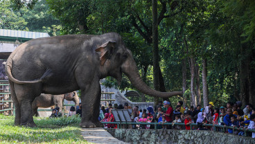 Rekomendasi Destinasi Wisata di Jakarta yang Menarik Dikunjungi saat Libur Sekolah