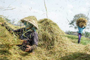 Pertumbuhan Ekonomi di Jawa Tengah Mencapai 4,96% Pada Triwulan I/2025