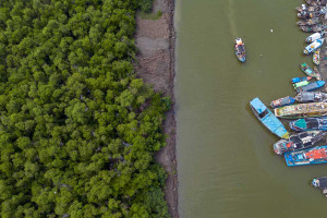 Kementerian Lingkungan Hidup Akan Merehabilitasi 200 Hektare Hutan Mangrove di Indramayu