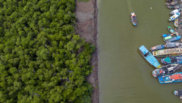Kementerian Lingkungan Hidup Akan Merehabilitasi 200 Hektare Hutan Mangrove di Indramayu
