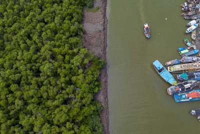 Kementerian Lingkungan Hidup Akan Merehabilitasi 200 Hektare Hutan Mangrove di Indramayu