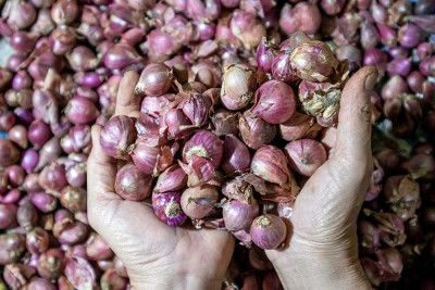 BPS Mencatat Kenaikan Harga Bawang Merah Sebesar 41,11%
