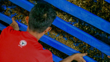 Koperasi Desa Merah Putih di Padang Budi Daya Maggot dan Kelolah Sampah