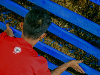 Koperasi Desa Merah Putih di Padang Budi Daya Maggot dan Kelolah Sampah