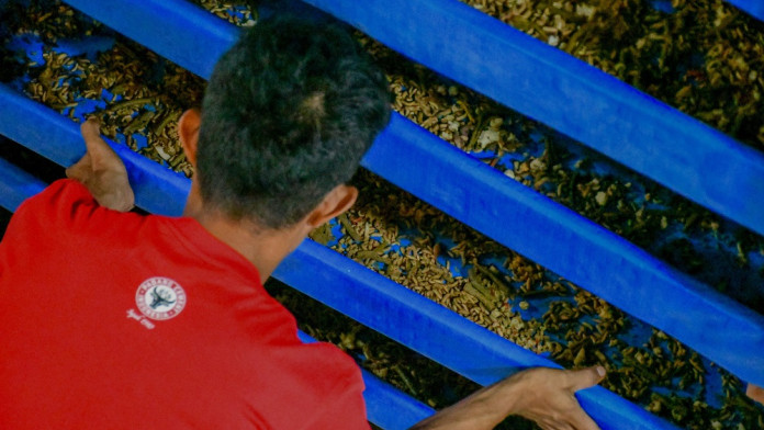 Koperasi Desa Merah Putih di Padang Budi Daya Maggot dan Kelolah Sampah