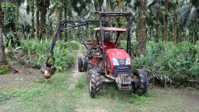 GAPKI Ungkap Segudang Tantangan Industri Sawit Tahun Ini