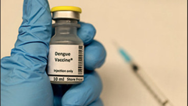 Vaksinasi Langkah Preventif Endemik Dengue