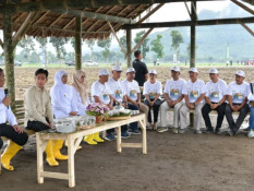 PTPN III Catat Lonjakan Panen Tebu Kebun Banyuwangi