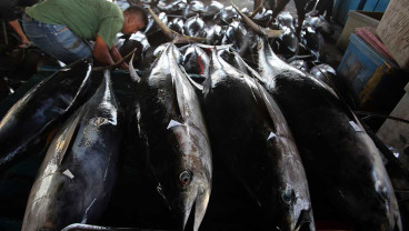 Harga Ikan di Aceh Alami Kenaikan Akibat Cuaca Buruk