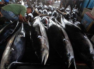 Harga Ikan di Aceh Alami Kenaikan Akibat Cuaca Buruk
