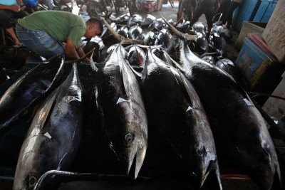 Harga Ikan di Aceh Alami Kenaikan Akibat Cuaca Buruk
