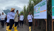 Percepat Swasembada Gula, Wapres Sebut Pemerintah Berkomitmen Bantu Petani