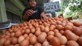 Harga Pangan 25 Juni: Harga Telur hingga Kedelai Naik, Bawang Merah Turun