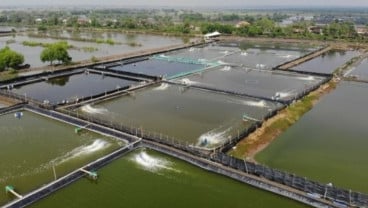 KKP Bakal Libatkan Agrinas Jaladri di Proyek Revitalisasi 20.000 Ha Tambak di Jabar