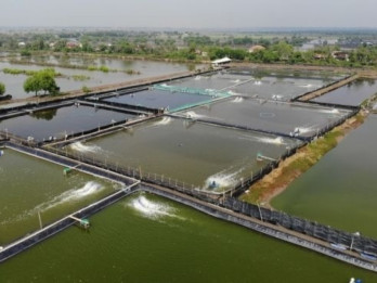 KKP Bakal Libatkan Agrinas Jaladri di Proyek Revitalisasi 20.000 Ha Tambak di Jabar