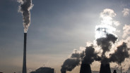Emisi Karbon Global dari Sektor Energi Pecahkan Rekor Baru pada 2024