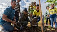 Menanam Harapan di Tepi Hutan Sumbawa Barat: Kisah AMMAN dan Masyarakat Desa Talonang