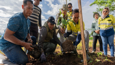 Menanam Harapan di Tepi Hutan Sumbawa Barat: Kisah AMMAN dan Masyarakat Desa Talonang