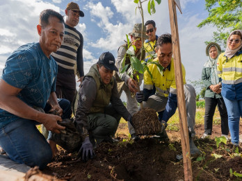 Menanam Harapan di Tepi Hutan Sumbawa Barat: Kisah AMMAN dan Masyarakat Desa Talonang