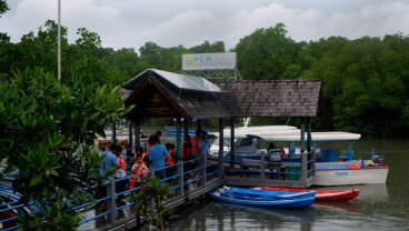 Ekowisata Mangrove Batu Lumbang Dorong Ekonomi Warga