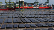 Bauran Energi Terbarukan Singapura Pecahkan Rekor, Efek Genjot Impor