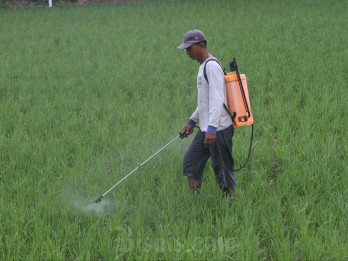 PLN Dorong Produksi Pertanian Canggih di Berau