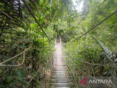 Provinsi Kaltim Raih Insentif Pelestarian Hutan Skema FCPF