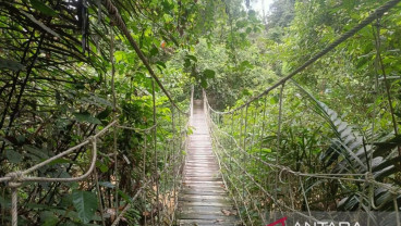 Provinsi Kaltim Raih Insentif Pelestarian Hutan Skema FCPF