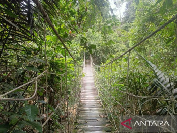Provinsi Kaltim Raih Insentif Pelestarian Hutan Skema FCPF