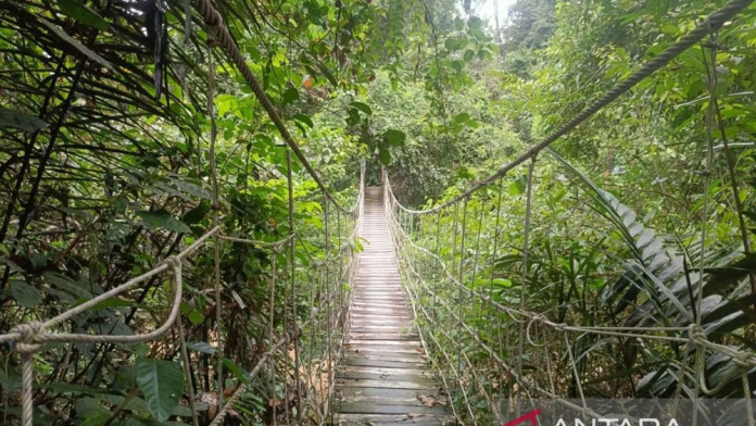 Provinsi Kaltim Raih Insentif Pelestarian Hutan Skema FCPF