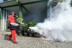 Cegah Penyebaran DBD, Dinas Kesehatan di Kediri Lakukan Pengasapan