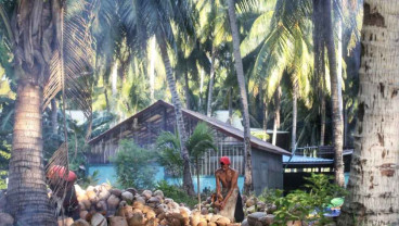 Ekspor Kelapa Kepri hingga Mei 2025 Catatkan Peningkatan 28%