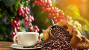 Ini 9 Makanan Termahal di Dunia, Ada Kopi Luwak Indonesia!